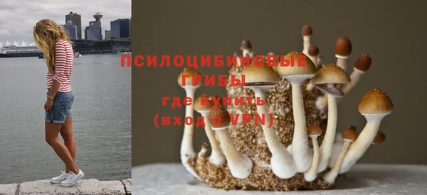 а пвп мука Армянск