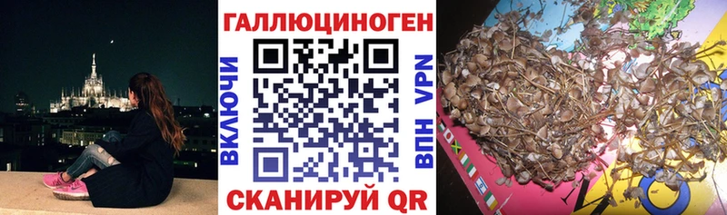 гидра маркетплейс  Новоульяновск  Псилоцибиновые грибы Psilocybe 